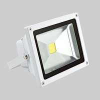 20W Floodlight in Cool White or Warm White with White Shell