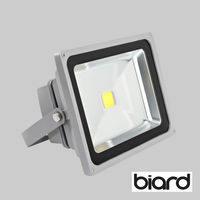 30W Biard LED Floodlight Equivalent To 200W 85% Energy Saving