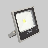 30W Biard Slimline Silvery Grey LED Floodlight in Cool White and Warm White