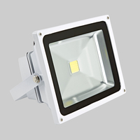 30W Floodlight in Cool White or Warm White with White Shell