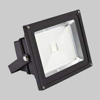 30W RGB Colour Changing Remote Controlled LED Floodlight