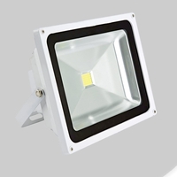 50W Floodlight in Cool White or Warm White with White Shell
