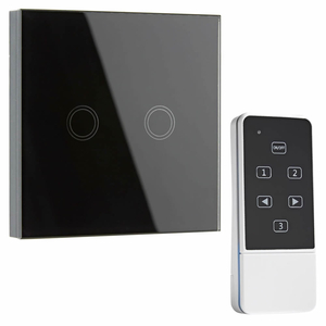 Biard 2 Gang Glass Touch Light Switch with Remote Control - Black