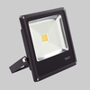 Biard 30W Slimline Black LED Floodlight