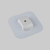 Biard 4 Pin 2D Lamp 12W LED