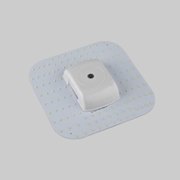 Biard 4 Pin 2D Lamp 12W LED