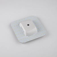 Biard 4 Pin 2D Lamp 8W LED