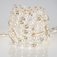 Biard 5 Meter 300 LED Warm White 5050 Strip Lights Waterproof
