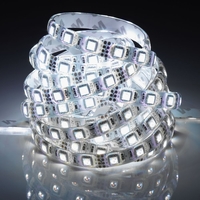 Biard 5 Meter 300 LED White 3528 Strip Lights Waterproof