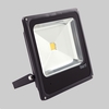 Biard 50W Slimline Black LED Floodlight