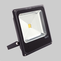 Biard 50W Slimline Black LED Floodlight