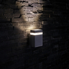 Biard Architect Black Outdoor Wall Light