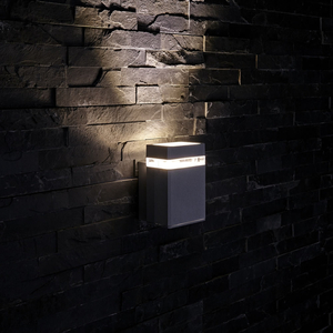 Biard Architect Black Outdoor Wall Light