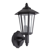 Biard Cannes Stainless Steel Outdoor Wall Lantern Black