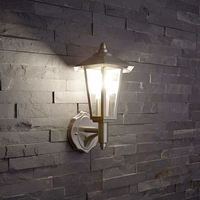Biard Cannes Stainless Steel Outdoor Wall Lantern