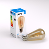 Biard E27 4W Dimmable Traditional Filament Bulb
