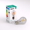 Biard E27 6W Dimmable Filament Bulb