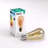 Biard E27 6W Dimmable Traditional Filament Bulb