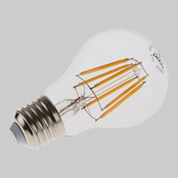 Biard E27 Vintage LED Filament Bulb 6W