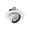Biard LED 10W Directional Recessed Down Light