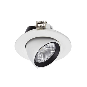 Biard LED 10W Directional Recessed Down Light