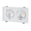 Biard LED 2 x 30W Recessed Directional Downlight