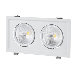 Biard LED 2 x 30W Recessed Directional Downlight