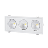 Biard LED 3 x 30W Recessed Directional Downlight