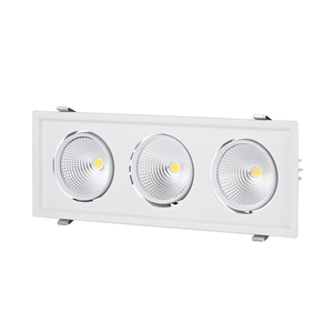 Biard LED 3 x 30W Recessed Directional Downlight