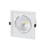 Biard LED 30W Recessed Directional Downlight