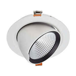 Biard LED 35W Directional Recessed Down Light