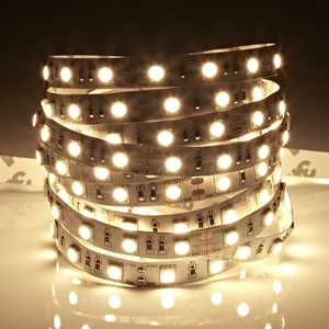 Biard LED IP20 5m 5050 Strip Light - Warm White