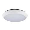 Biard LED IP54 Ceiling Light