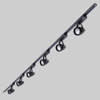 Biard Six Light 12W LED Track Light Kit Black