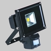 Diamond LED Lighting Celsian 3 10W PIR Mini Flood