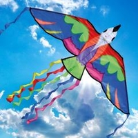 Bermuda Bird Kite