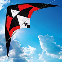 Harrier Sport Kite