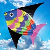 Skyray Kite