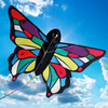 Tropical Butterfly Kite