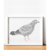 Personalised Pigeon Word Art Print