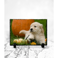 Personalised Rectangle Rock Photo Slate - With Stand