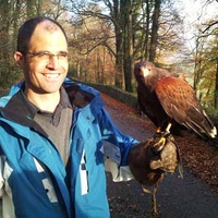 Falconry in Devon