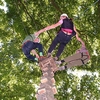 High Ropes Harrogate
