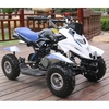 50cc Dirt Ninja Mini Off Road Petrol Quad Blue