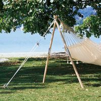 Amazonas Madera Wooden Stand