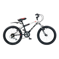 Concept Demon 20in Wheel Boys Mountain Bike