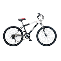 Concept Demon 24in Wheel Boys Mountain Bike