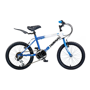 Concept Havoc 18in Wheel Boys Bike