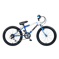 Concept Havoc 20in Wheel Boys Bike