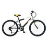 Concept Rawbone 24in Wheel Boys Mountain Bike